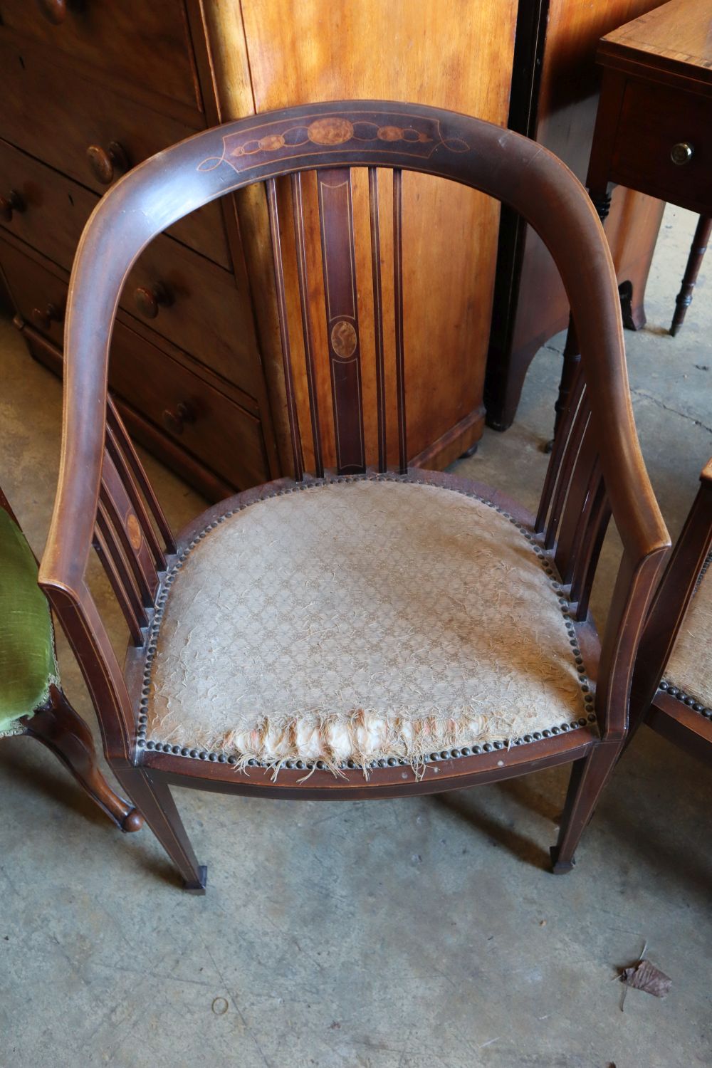 Two Edwardian inlaid mahogany tub shaped elbow chairs and a Victorian walnut salon chair